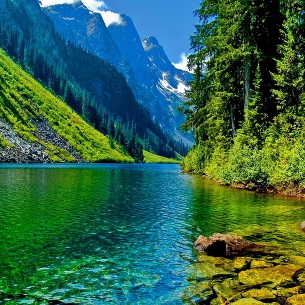 Meet your Posher, Maximillian